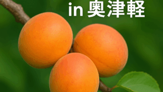 アンズ里親制度