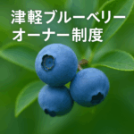 ブルーベリーオーナー制度