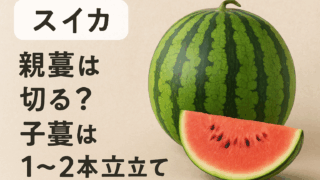 スイカ